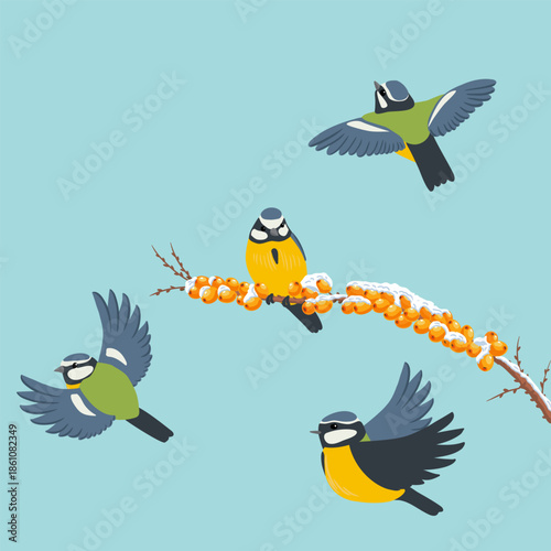 vector drawing birds, blue tit at sea buckthorn branch with berries and snow in winter, hand drawn wildlife illustration