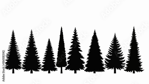 Collection of diverse evergreen tree silhouettes on a white background.