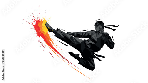 Dynamic karate kick: geometric silhouette with vibrant burst of energy