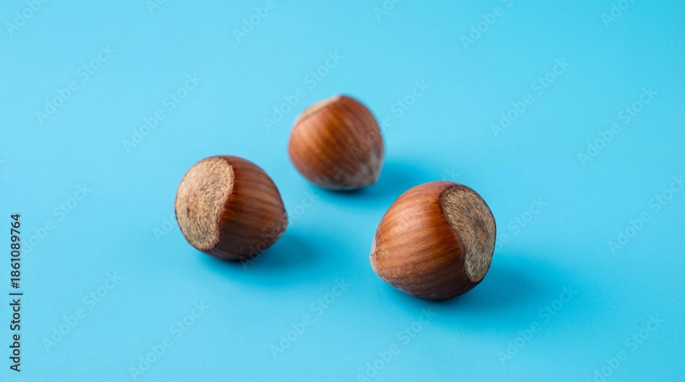 custom made wallpaper toronto digitalThree Fresh Hazelnuts on a Bright Blue Background in a Minimalist Arrangement