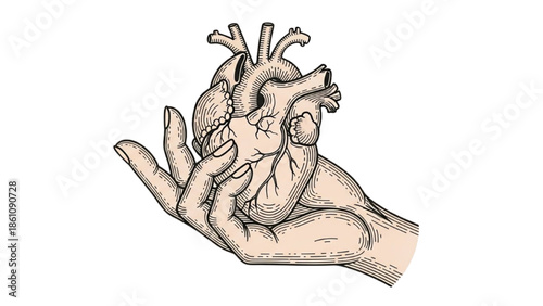 A hand holding a detailed anatomical illustration of a human heart from a lateral viewpoint