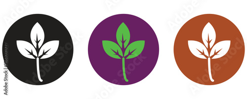 Basil icon vector set, natural aroma spice leaf icon vector set in trendy flat style illustration isolated on white background.