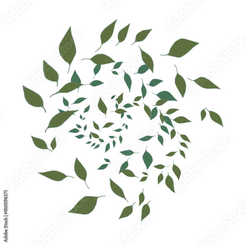 a collection of fallen leaves forming a vortex without a background