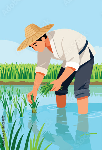 Farmer planting rice seedlings in a flooded field under a clear sky
