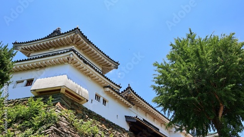 青空と新緑に包まれた和歌山城の櫓