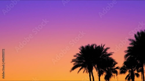 Vibrant Sunset Landscape with Palm Silhouettes in a Serene Environment