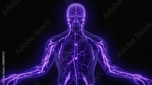 Glowing Purple Human Body X-Ray with Electric Nervous System on Black Background Image  4k hd video download