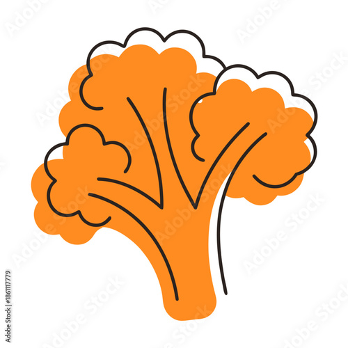 Orange cauliflower illustration in simple line art style  