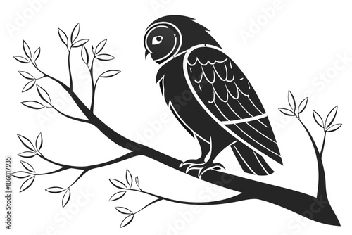 Placeholder image display