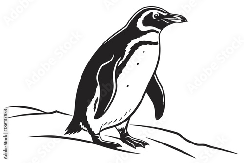 Placeholder image indicator