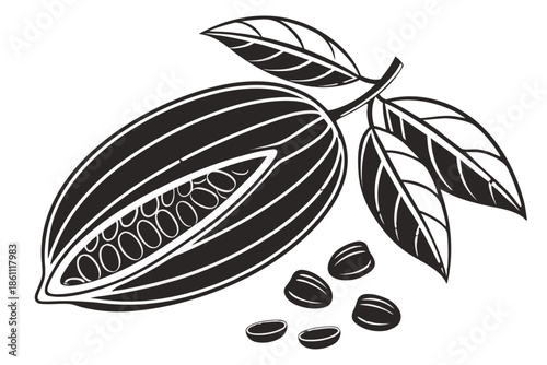 Placeholder image display