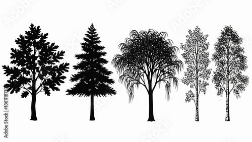 Collection of diverse tree silhouettes isolated on white background.