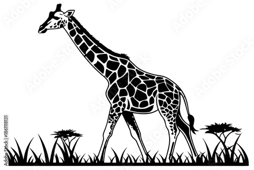 Placeholder image indication