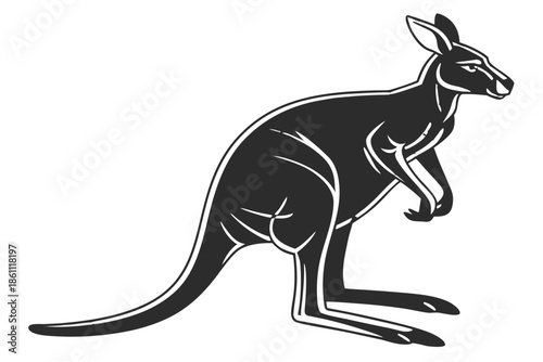 Placeholder image display