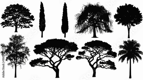 Collection of diverse tree silhouettes isolated on white background.