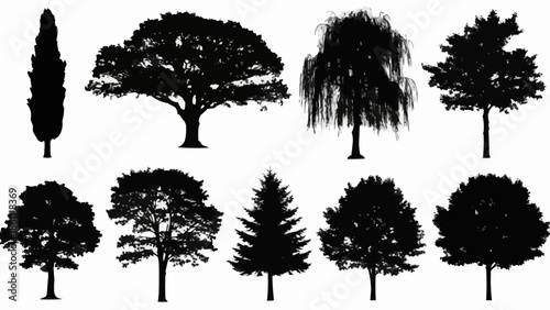 Collection of Diverse Tree Silhouettes Isolated on White Background.