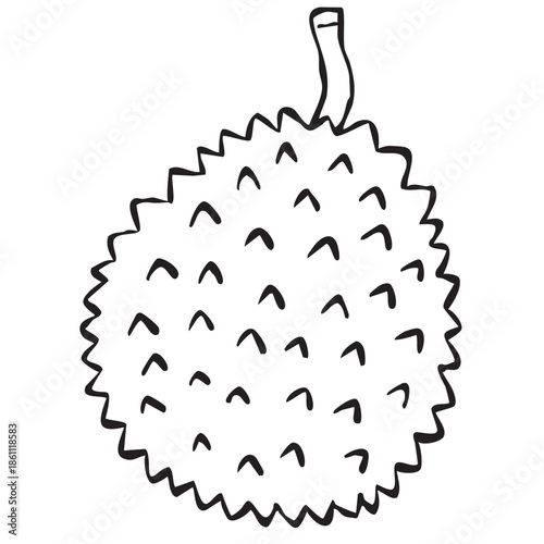 【線画】フルーツ_ドリアン