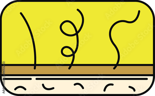 Hair growth stages illustration with scalp and roots Shampoo Product