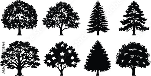 Tree silhouettes set, pine oak and maple forest collection, deciduous and evergreen nature icons, cad drawing flat vector illustration