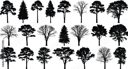 Tree silhouettes set, pine oak and spruce forest collection, deciduous and evergreen nature icons, cad drawing flat vector illustration