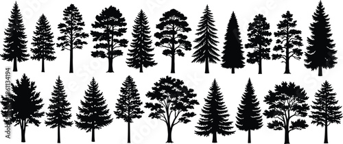 Set of pine tree silhouettes, coniferous forest collection, black spruce and fir icons, nature woods elements, cad drawing flat vector illustration.