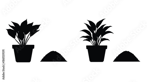 Two potted plants with soil mounds displayed as a striking silhouette