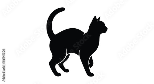 A sleek black cat in a dynamic pose captured as a striking dark silhouette