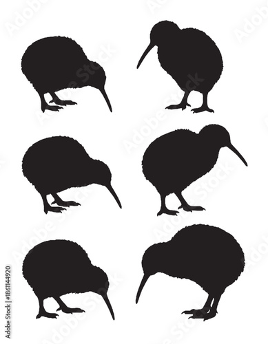 Kiwi Bird Silhouette Vector Illustration Isolated Animal Icon Design