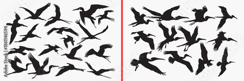 flying bird silhouette vector, bird in flight black silhouettes, wildlife bird illustration set, soaring bird outline art, nature vector collection, bird icon set, animal clipart silhouettes, sky grap