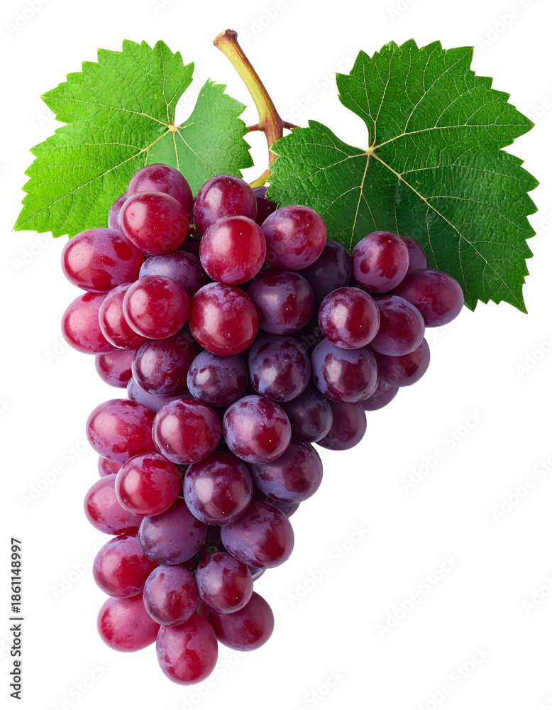 Fototapeta premium Fresh red grape cluster with green stem isolated on transparency background, showing juicy, ripe, and healthy fruit perfect for snacks, desserts, or juice