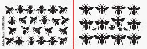 insect silhouette vector, bug black silhouettes, flying insect illustration set, small insect outline art, nature insect vector collection, insect icon set, bug clipart silhouettes, biology graphic el