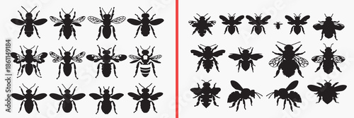 insect silhouette vector, bug black silhouettes, flying insect illustration set, small insect outline art, nature insect vector collection, insect icon set, bug clipart silhouettes, biology graphic el