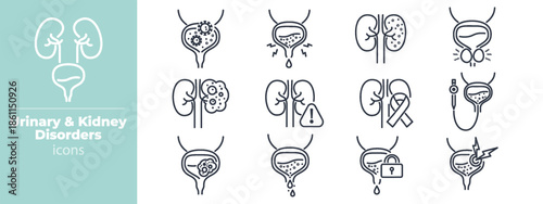 Medical urinary system icons showing kidney stones, bladder infections, and prostate gland illustrations in minimal outline design for health resources and clinical use. Vector. Editable stroke
