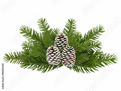 Three pine cones nestled among vibrant green evergreen branches on white