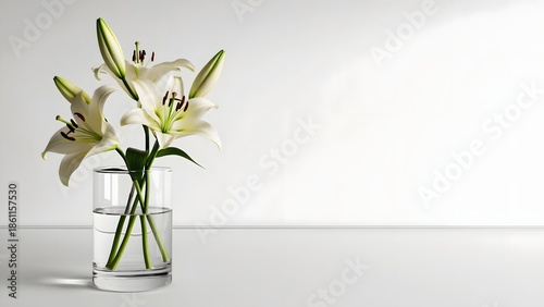 Minimal white flowers in vase on clean surface