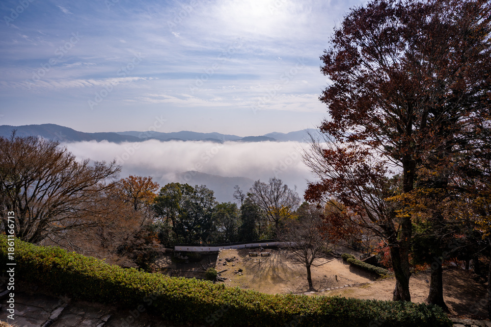 Obraz premium 備中松山城から見る雲海の風景（高梁市）