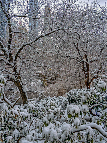 Gapstow Bridge in Central Park