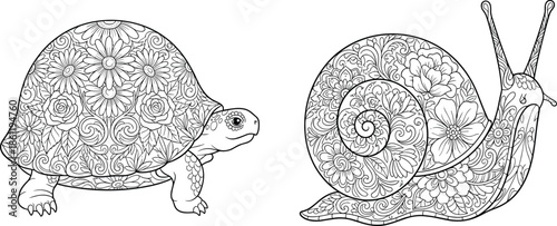 Decorative turtle and snail line art illustration, intricate floral animal design for coloring book, hand drawn nature vector isolated background
