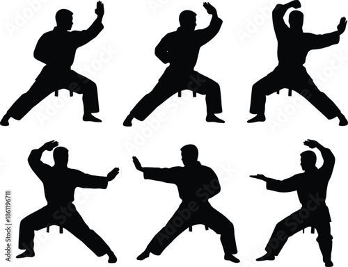 Martial arts silhouettes performing combat stances set, kung fu and karate training poses, isolated black athlete figures on white background illustration