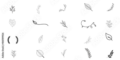 Set of 20 Nature Leaf and Branch Icons for Eco Friendly Branding