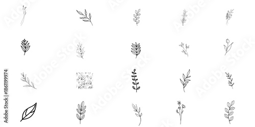 Set of 20 Nature Leaf and Branch Icons for Eco Friendly Branding