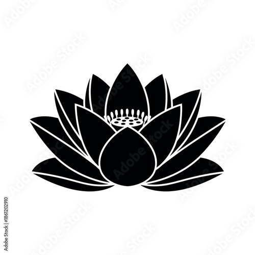 Black and white lotus flower illustration.