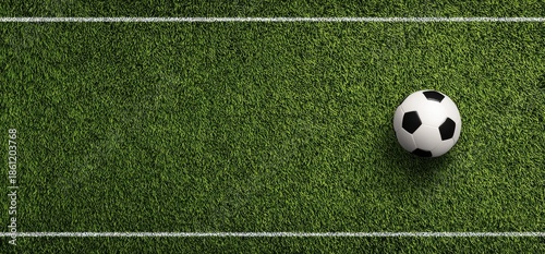 Ball rests on grassy field, bounded by white lines