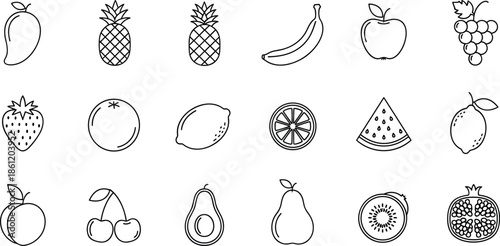 Variety of fresh fruits in simple line art style