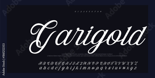 Signature Font Uppercase Lowercase And Number. Script Font Calligraphy Logotype elegant Font Type Font lettering handwritten. vector illustration 