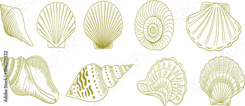 Set of golden hand drawn seashell icons, vintage nautical sea shell sketches isolated on white background, vector elements
