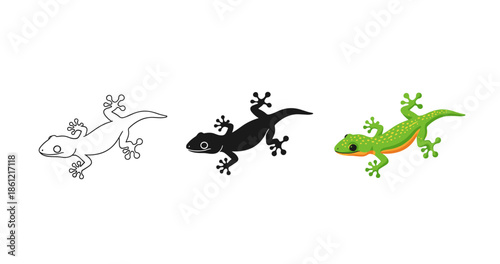 Colorful, silhouette, and outline illustrations of a gecko on white background