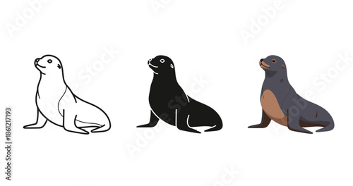 Sea lion trio: outline, silhouette, and colored illustrations