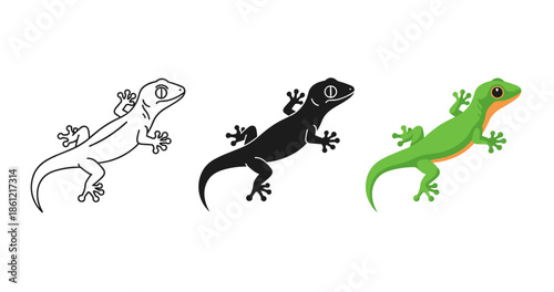 Gecko illustrations: outline, silhouette, and colored versions of a lizard