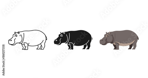 Stylized hippopotamus evolution: line art to realism illustration stages